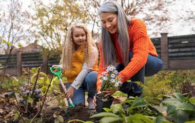 Ein Gartenstück in eine grüne Oase verwandeln.