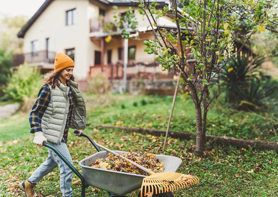 Wohntraumstudie 2025: Tiefe Zinsen befeuern den Traum vom Eigenheim