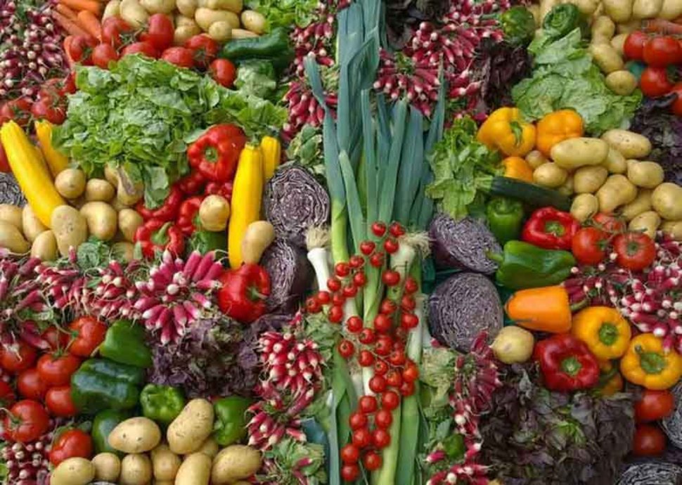 Warum ist die Ernährung ein wichtiger Bestandteil der Krebsprävention? Warum ist die Ernährung ein wichtiger Bestandteil der Krebsprävention?