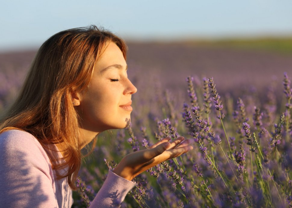 Gedächtnis und Duft: Warum Gerüche stärker wirken als Worte