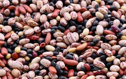 Essen fürs Gehirn: So bleiben Sie geistig fit