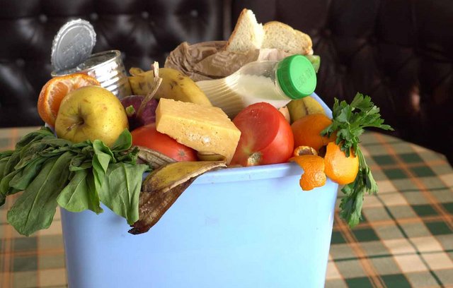 Food Waste vermeiden: 4 Strategien für den Alltag