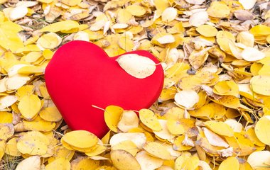 Wenn Frauen sich lösen: warum Beziehungen scheitern 