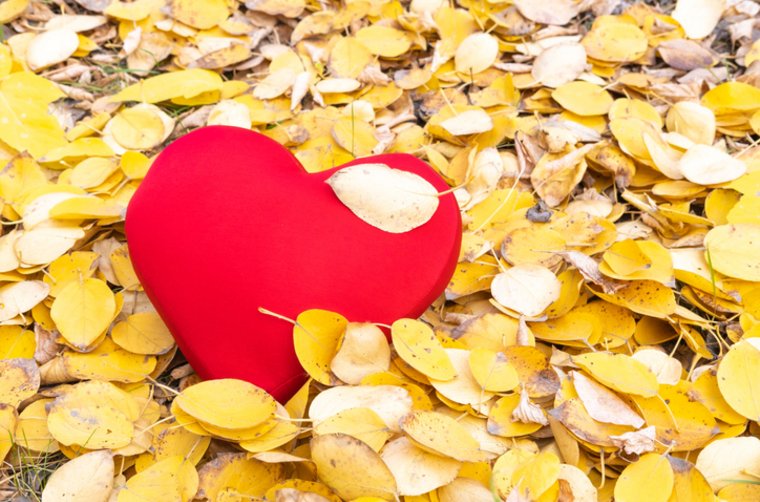 Wenn Frauen sich lösen: warum Beziehungen scheitern 