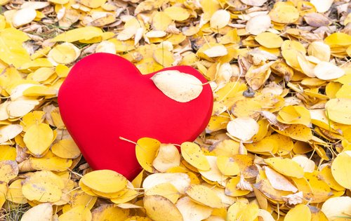 Wenn Frauen sich lösen: warum Beziehungen scheitern 