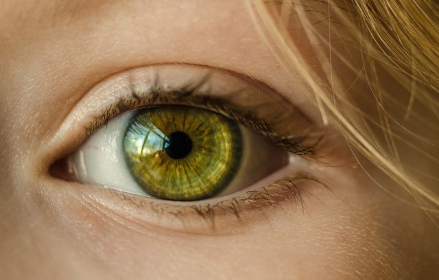 Gleitsichtlinsen können die richtige Lösung bei Alterssichtigkeit sein.