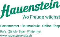 Logo Hauenstein