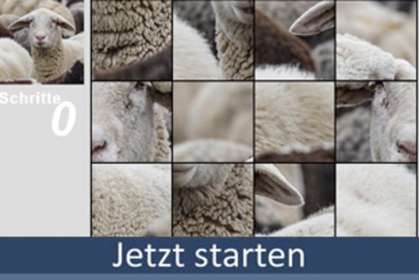 Puzzle 16Teile spielen bei Boomer.at