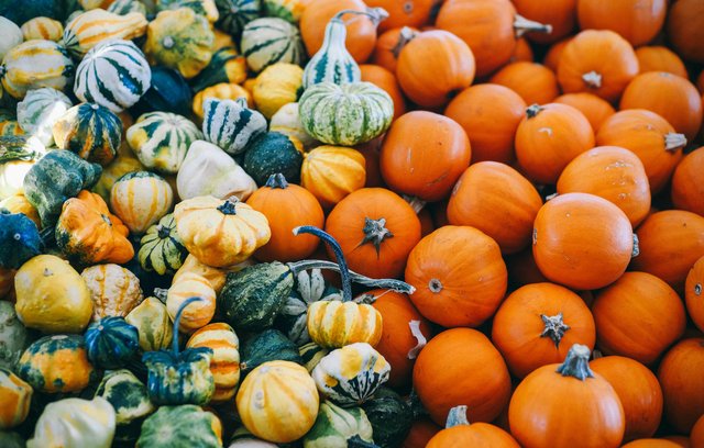 Kürbis ist sehr gesunde Ernährung