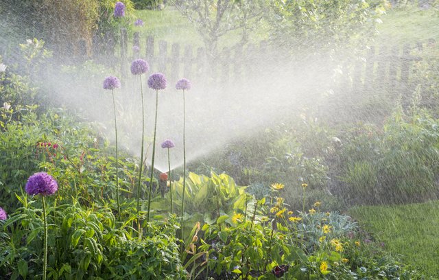 Garten bewässern – aber richtig!