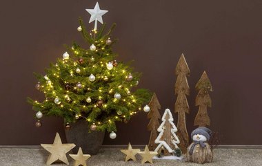 Weihnachtsbäume im Topf Weihnachtsbäume im Topf