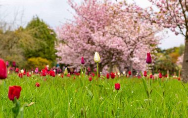 Was hilft gegen Frühjahrsmüdigkeit? Was hilft gegen Frühjahrsmüdigkeit?