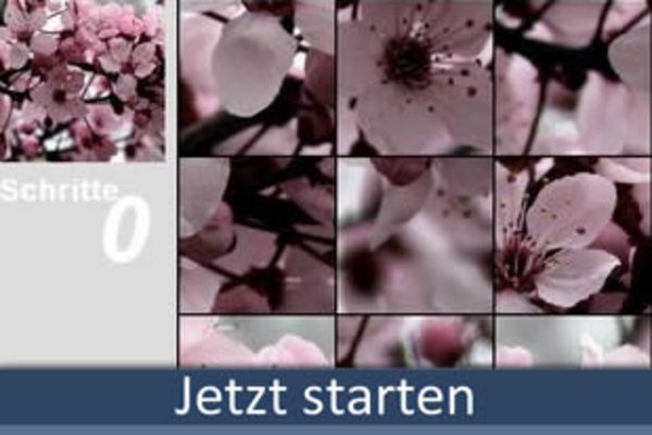 Puzzle 49Teile spielen bei Boomer.at