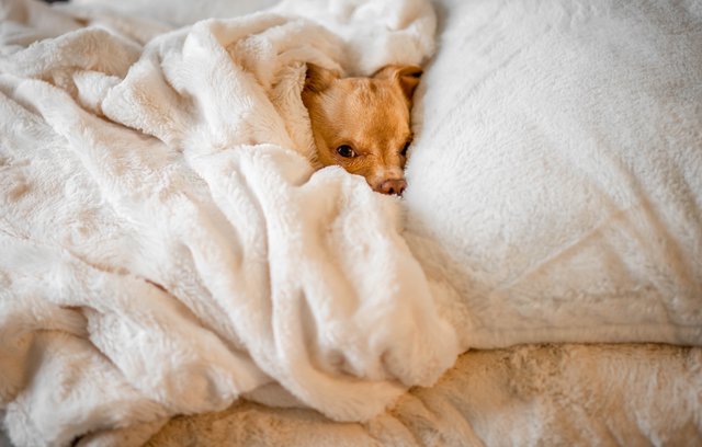 Gehen Sie immer zur gleichen Zeit ins Bett