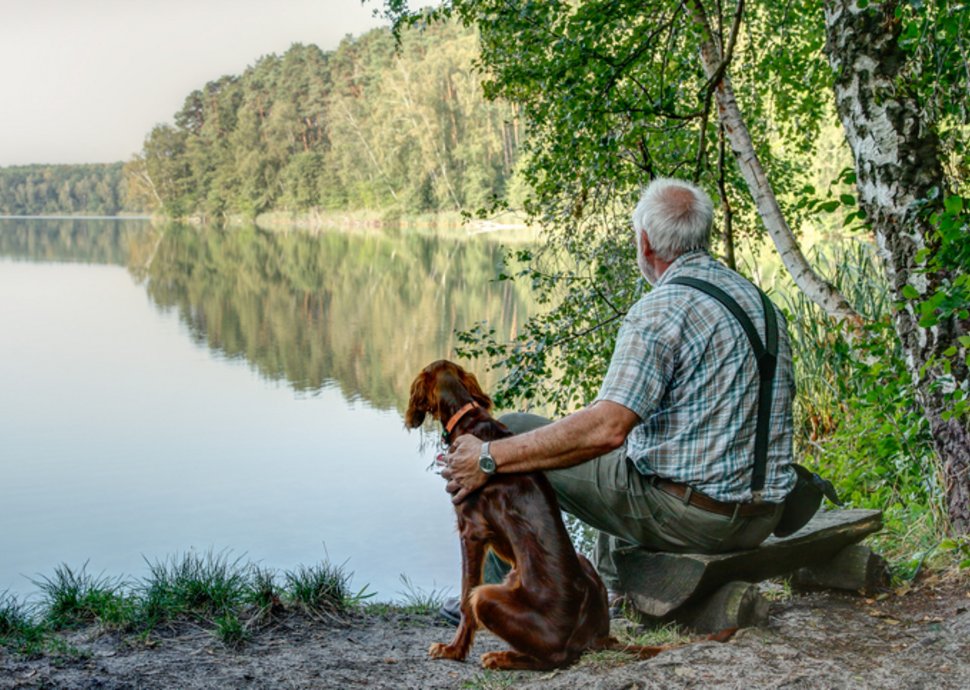 Tierische Medizin: Wenn Tiere mehr bewirken als Pillen