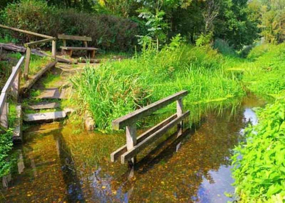 Kneipp Therapie - so geht Wassertreten