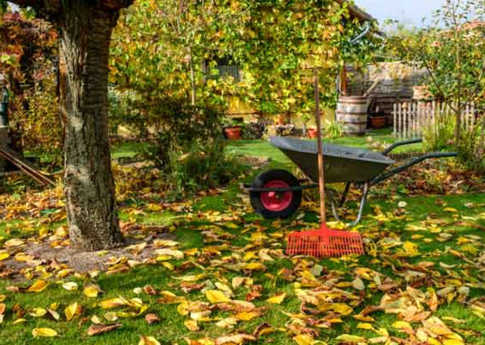 Gartenarbeiten - was im Herbst zu tun ist