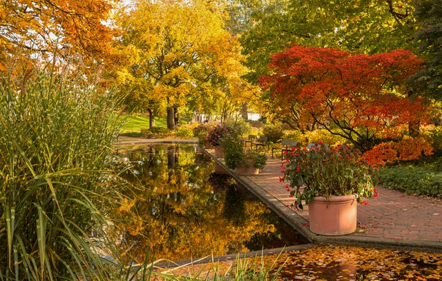 Gartenarbeit im Herbst: Das steht jetzt an