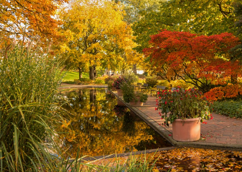 Gartenarbeit im Herbst: Das steht jetzt an