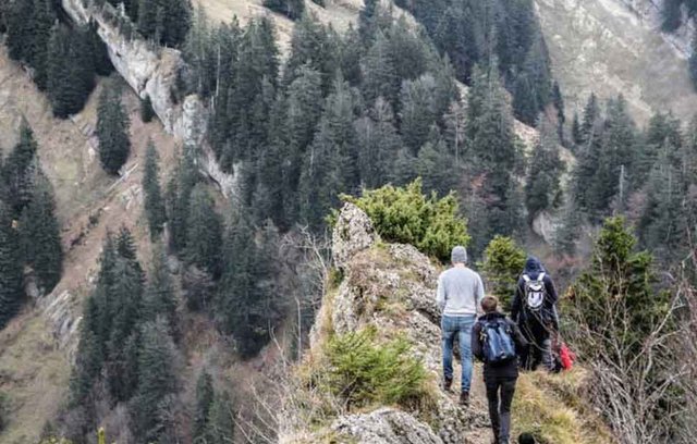 Warum Wandern glücklich macht