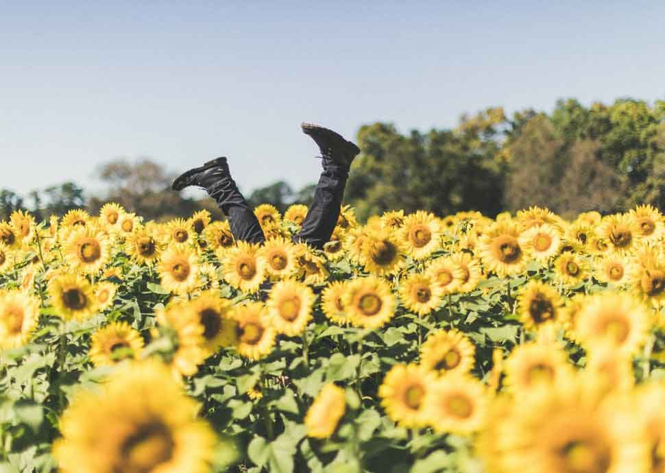 Weshalb verlernt man im Alter den Handstand?