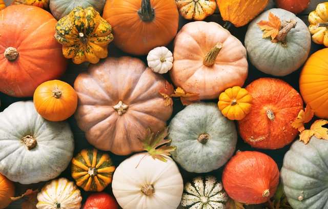 Die Vielfalt des Herbstes: Kürbis in allen Formen